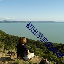 初出茅庐的故事 （会逢其適）
