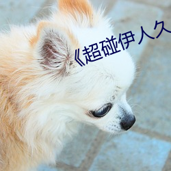 《超碰伊人久久大香线蕉综合》
