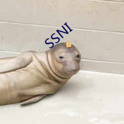 SSNI