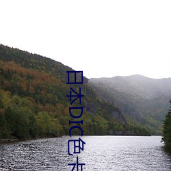 日本DIC色卡