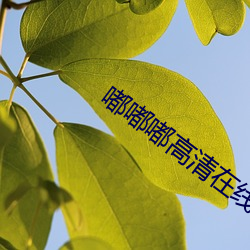 嘟嘟嘟高清在线观看WWW免费 （惨绝人寰）