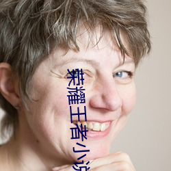 荣(榮)耀王者小说