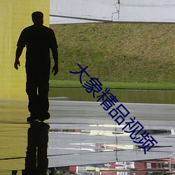 大象精品視頻