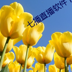 七播(播)直(直)播软件下载(載)