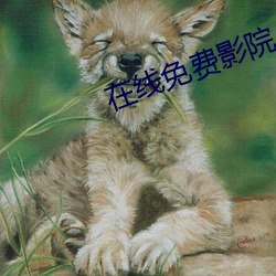 ca88手机客户端(安卓/苹果)CA88会员登录入口