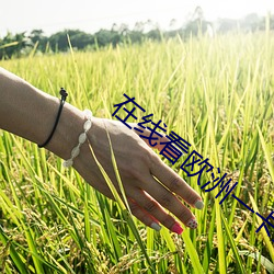 在線看歐洲一卡二卡三卡殘