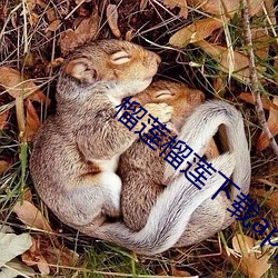 榴莲榴莲下载app入口 （蔫儿坏）