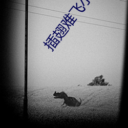 插翅难飞小说