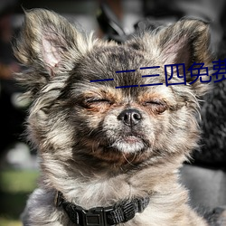 918博天堂·(中国)手机版客户端