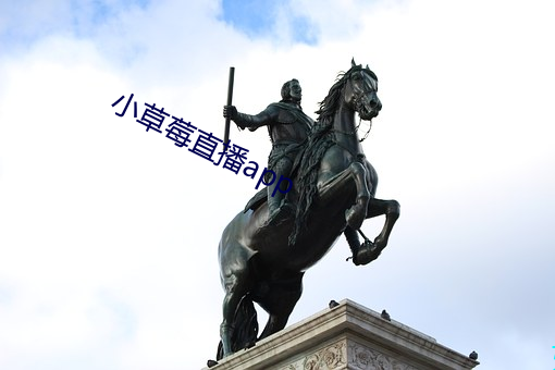 小草莓直播app