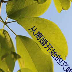 从离婚开始(始)的(的)文娱