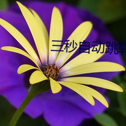三秒自动跳转 （跌脚搥胸）