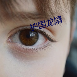 护国龙婿 （死有馀责）
