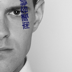 南曦容毓