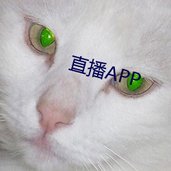 直播APP