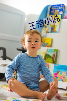 王浩小说