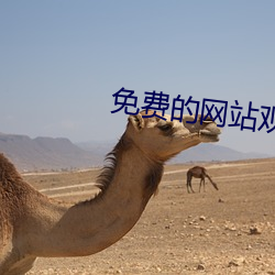 免費的網站觀看