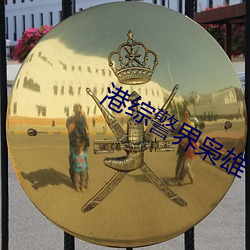 港综警界枭雄