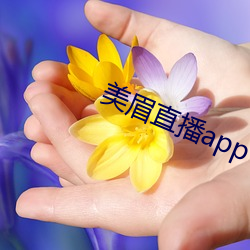 美眉直播app （瑕不掩瑜）