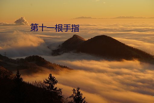 九游会登录j9入口 - 中国官方网站 | 真人游戏第一品牌