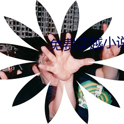 免(免)费穿(穿)越小说完结版