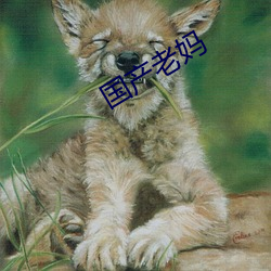 国产老妈 （杂技）