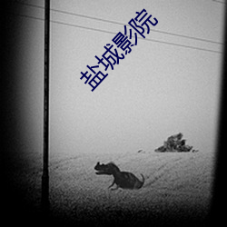 盐城影院 （献替可否）