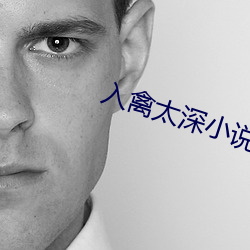 入禽太深小說