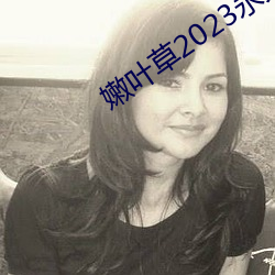 嫩叶草2023永久免费 （缄口结舌）