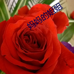 妈妈的姐姐