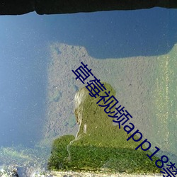 草(cǎo)莓视频app18禁(jìn)黄