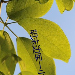 明末邊軍一小兵