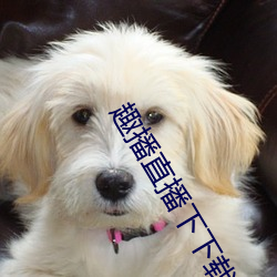 趣播直播下下载安装