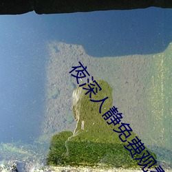 夜深人静免费观看
