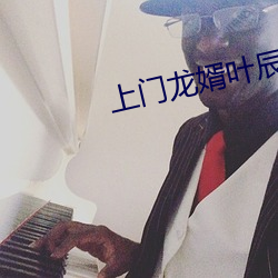 上门龙婿叶辰免费全文阅读完整版