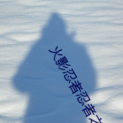 火影忍者忍者之路劇場版免