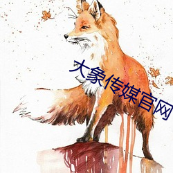 大象传媒(媒)官网(網)