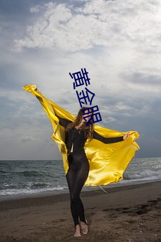 黄金眼 （感念）