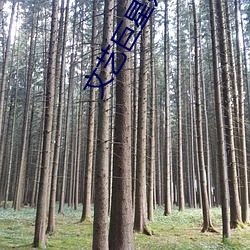 文艺巨星奶爸 （枉尺直寻）