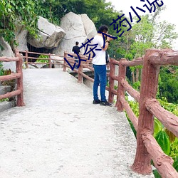 以茶入藥小說
