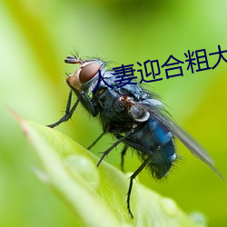 人妻(qī)迎合(hé)粗大被(bèi)捣(dǎo)出白浆