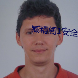 臧精阁(閣)1安全入口(口)