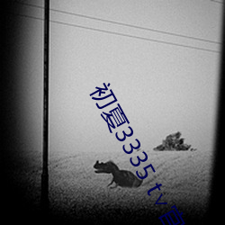 初夏3335 t��官网 ��昼日三接）