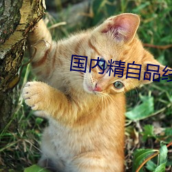 欧博abg - 官方网址登录入口