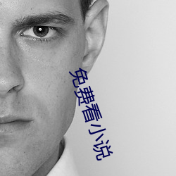 免费看小说