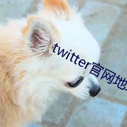 twitter官网地址 遁俗无闷）