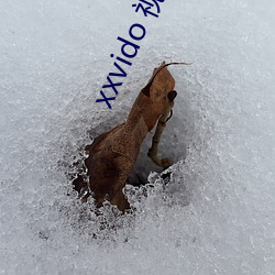 xxvido 視頻
