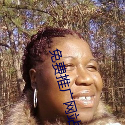 免费(費)推广网(網)站