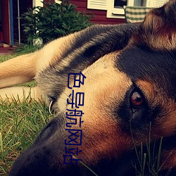 色导航网(wǎng)站
