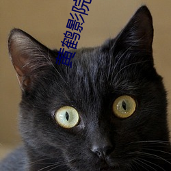 黄(huáng)鹤(hè)影院